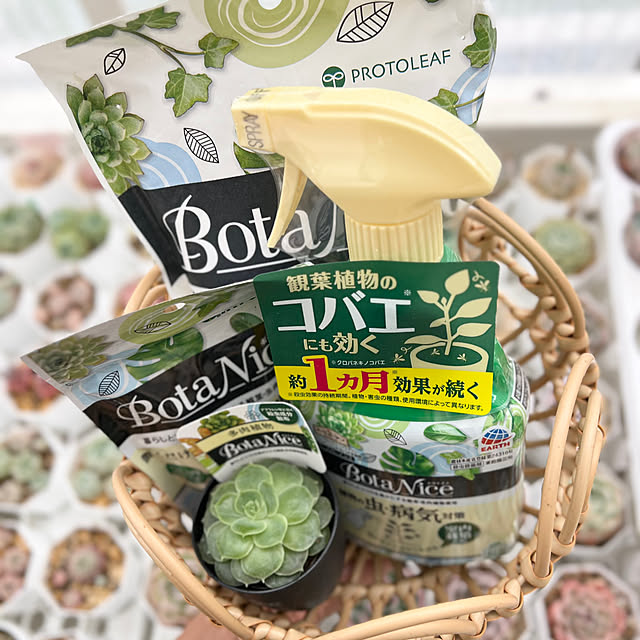 hamuさんの実例写真