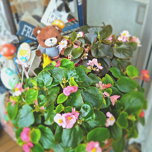 mariaさんの実例写真