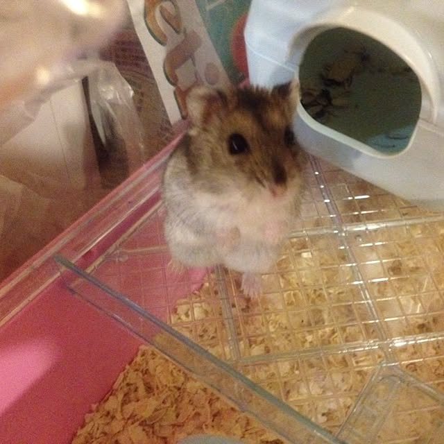 kaさんの実例写真
