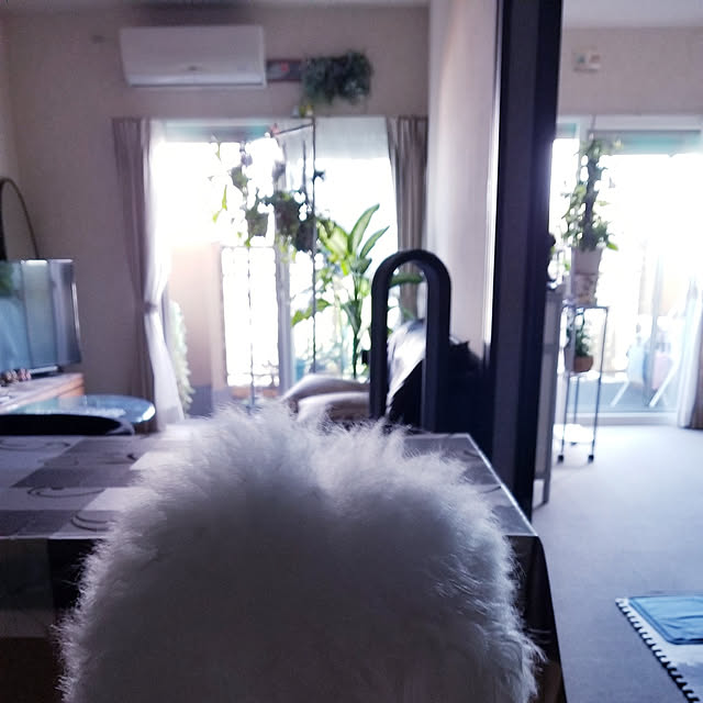 takoさんの実例写真