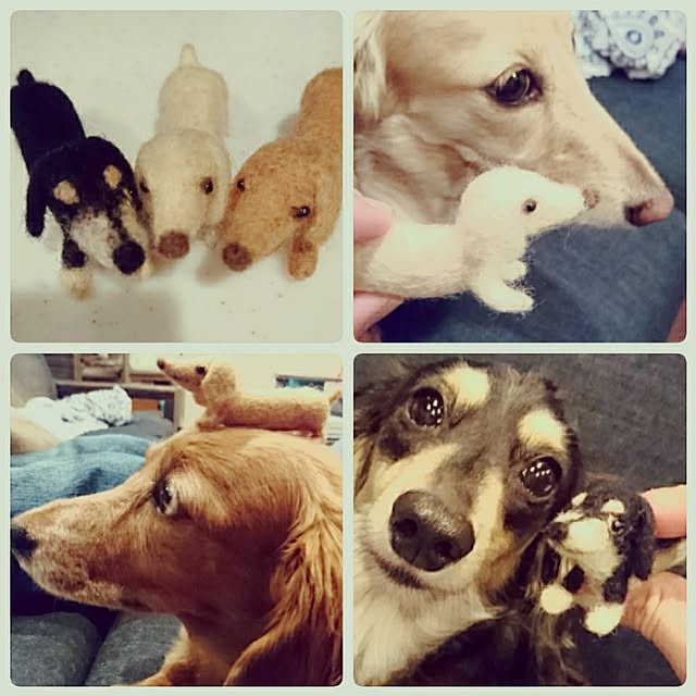 cocosorasakuさんの実例写真