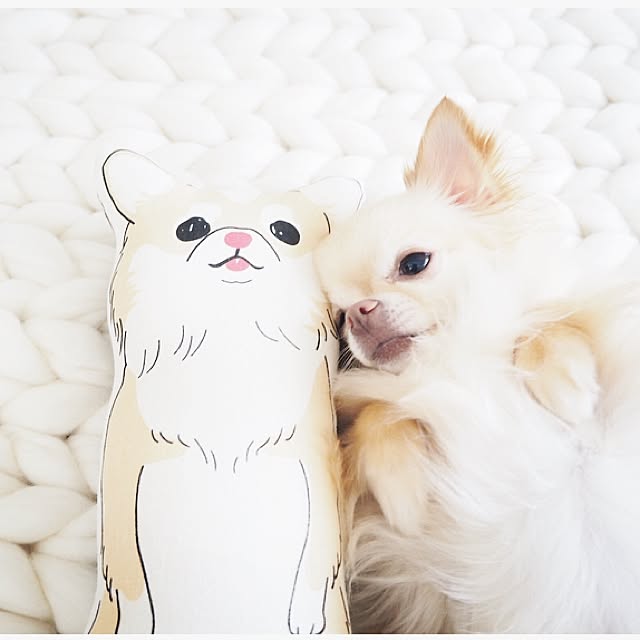 mariさんの実例写真
