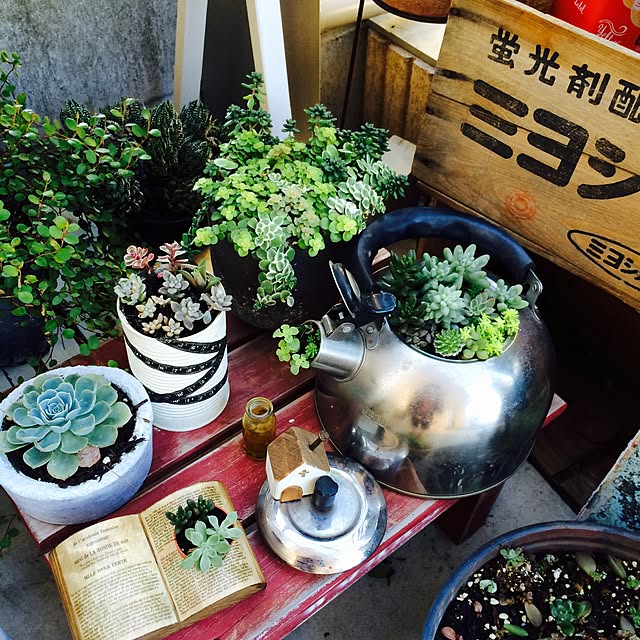 Azuさんの実例写真
