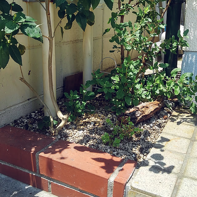 sakura39さんの実例写真