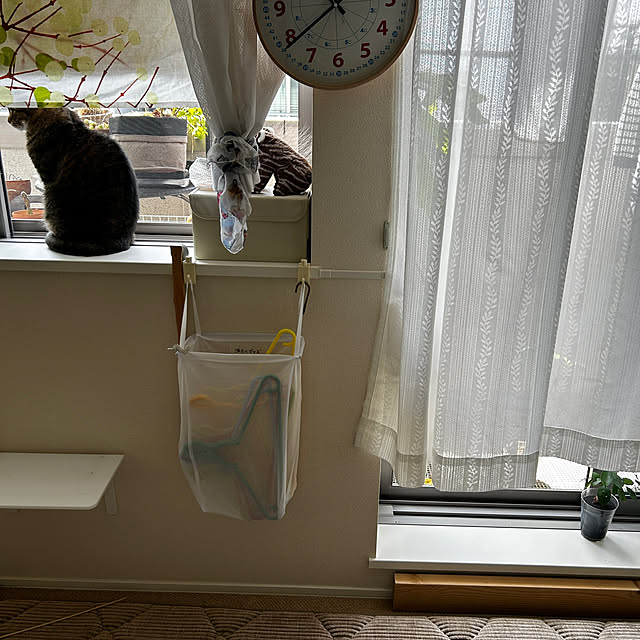 mikomaruさんの部屋