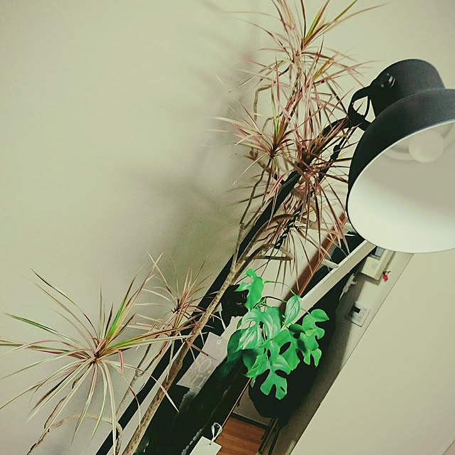 s.p.sunaoさんの実例写真