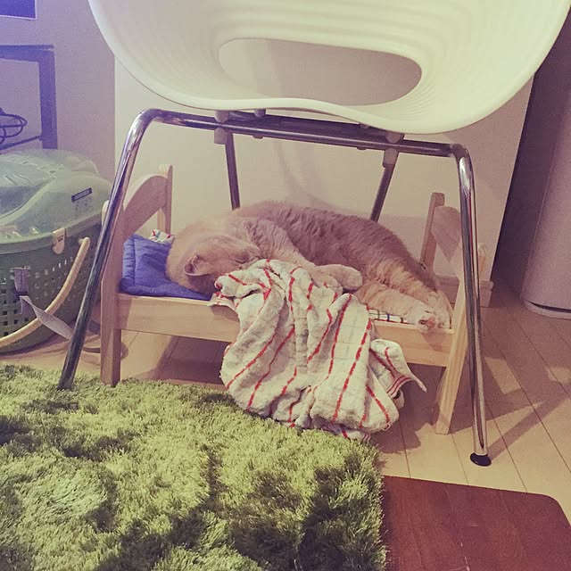 Maiさんの実例写真