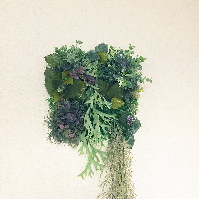 多肉植物/フェイクグリーン/観葉植物/壁/天井のインテリア実例 - 2022-01-24 22:11:35