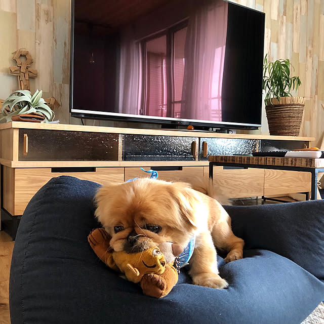 NUIさんの実例写真
