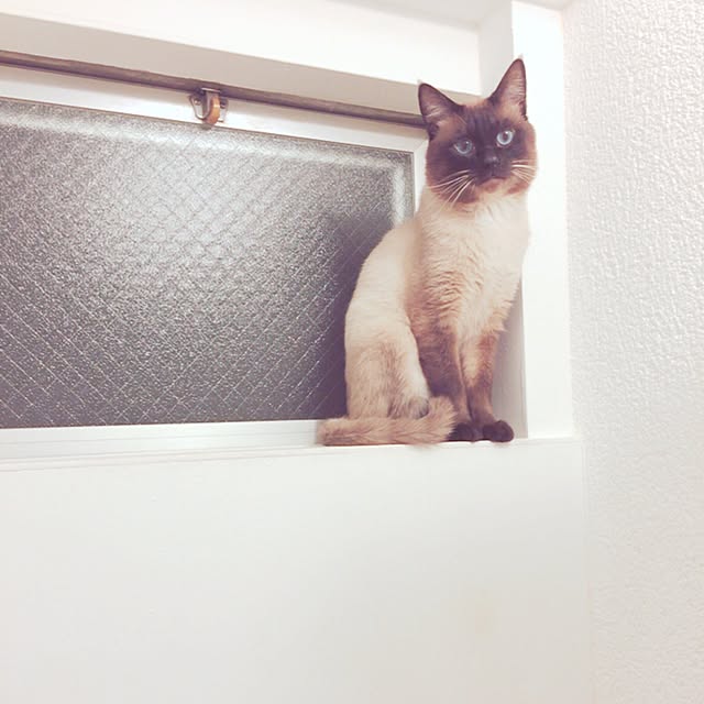 keicoconutsさんの実例写真