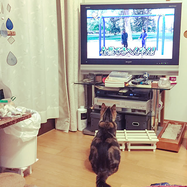 lavie0125さんの実例写真