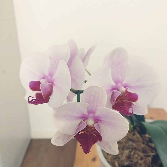 tan5さんの部屋