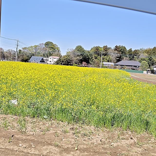 yumirinさんの部屋