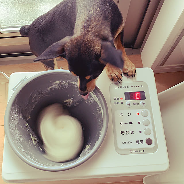 miiiiさんの実例写真