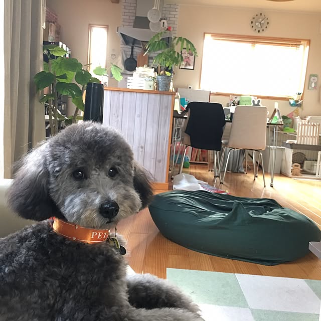 makoriさんの実例写真