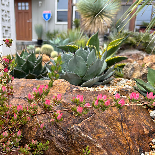 BCI.Gardenさんの部屋