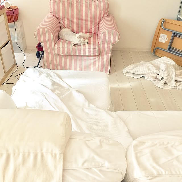 suzyさんの実例写真