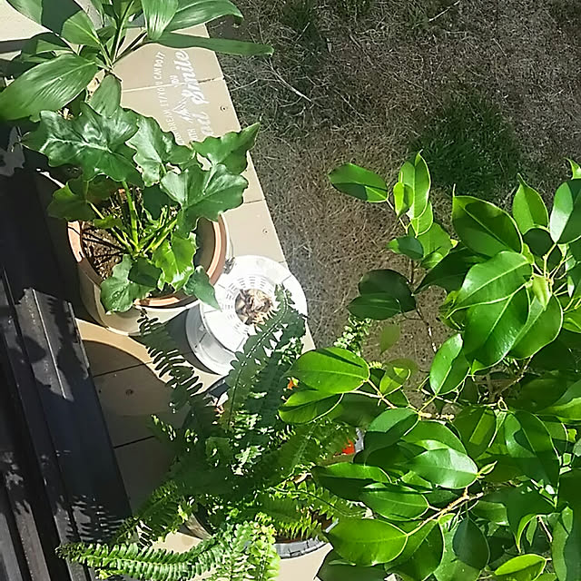 Ri-さんの実例写真