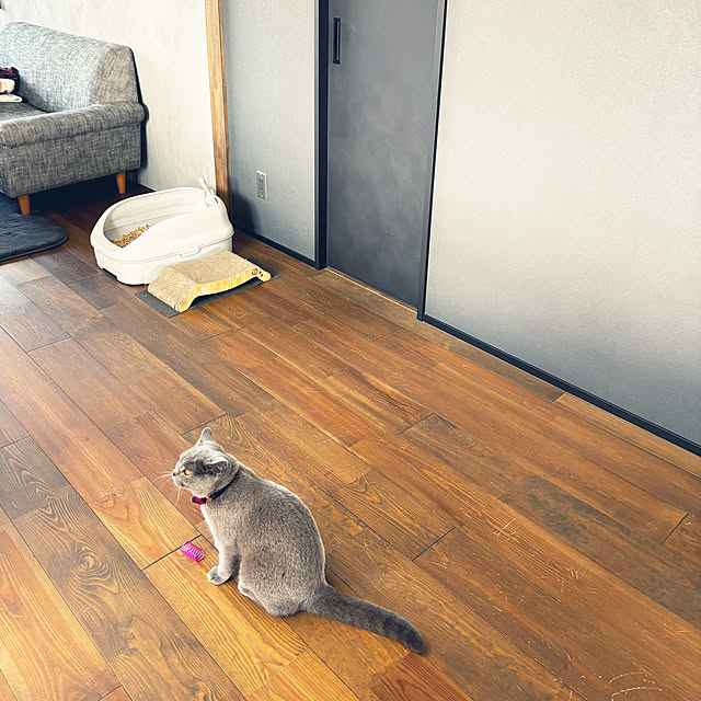 lulu1109さんの部屋