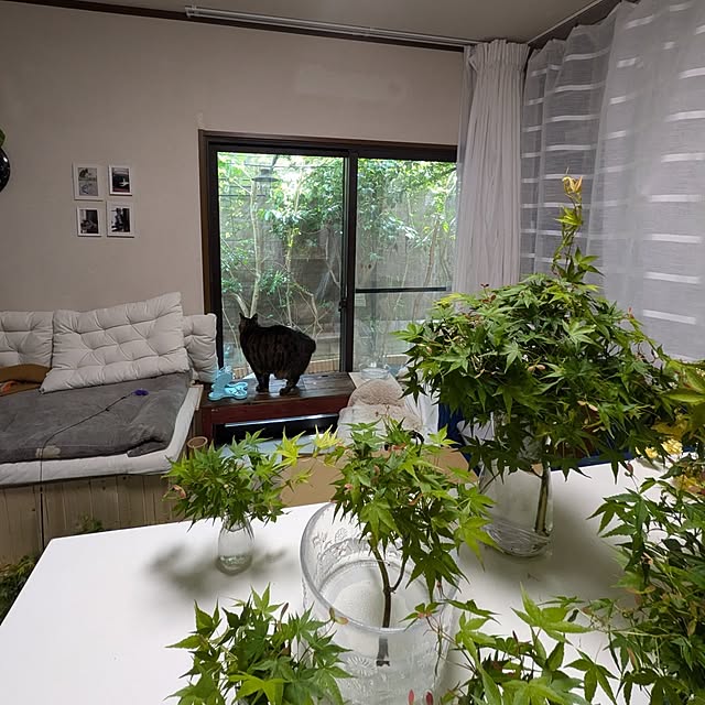 mori_6_12さんの部屋