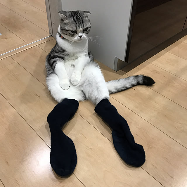 Dahliaさんの実例写真