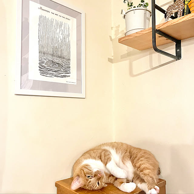 miecoroさんの実例写真