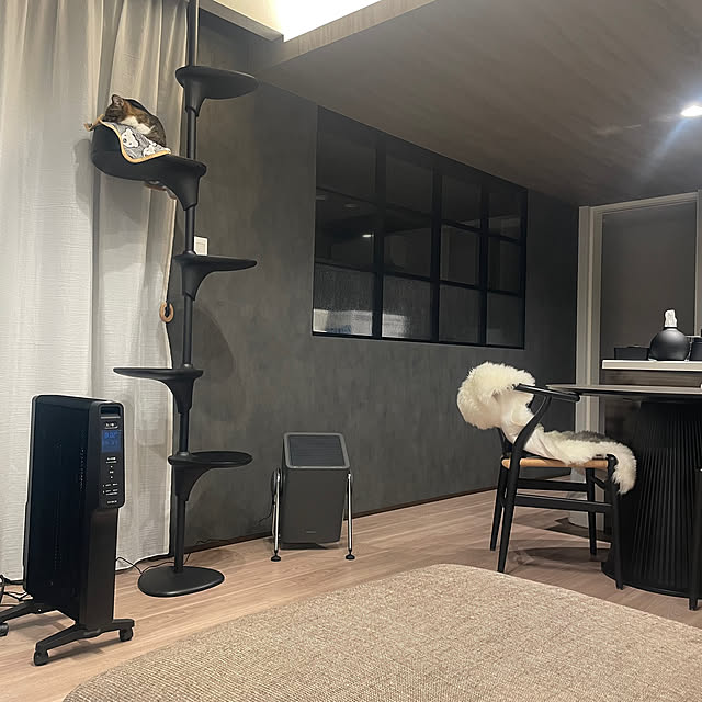 maimaiさんの実例写真