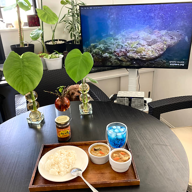MOMOMAMAさんの部屋