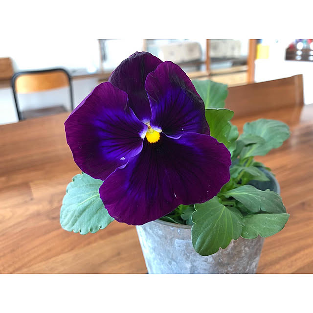 nono.0129さんの実例写真