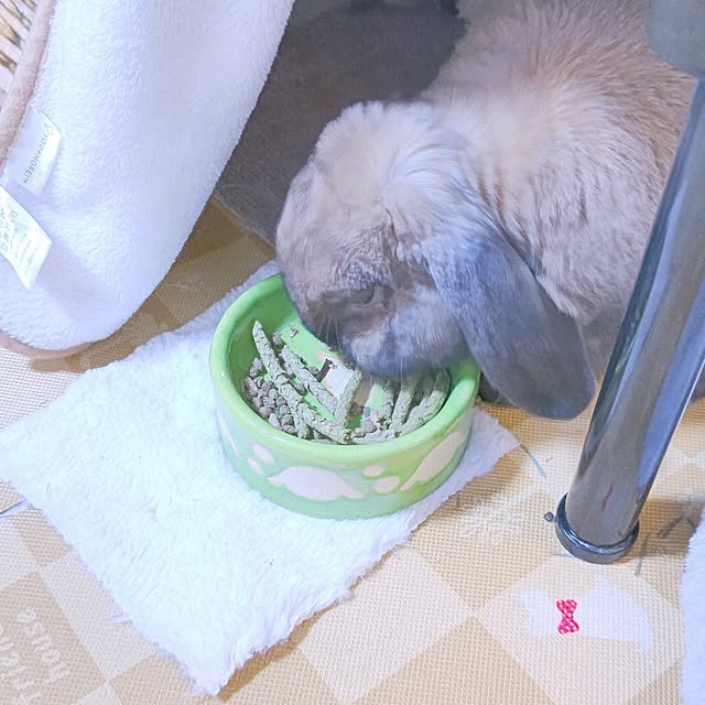 mariaさんの実例写真