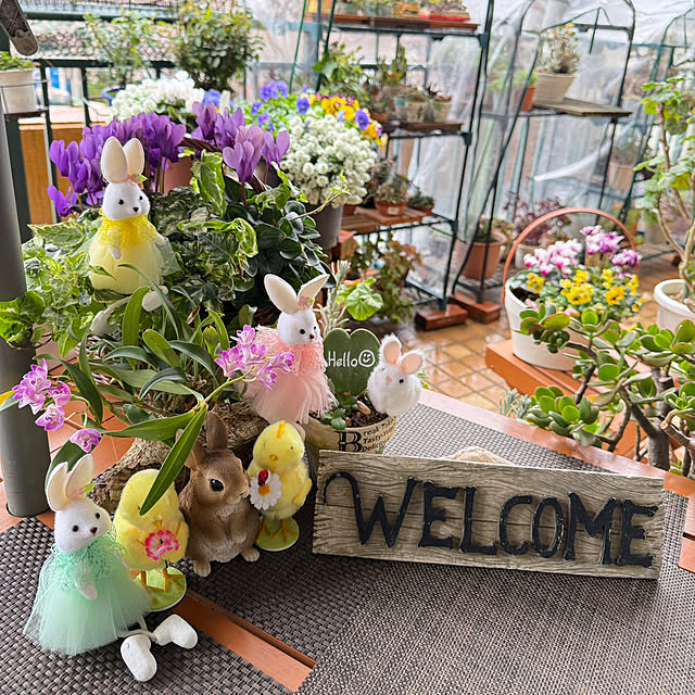 Aqettyさんの実例写真