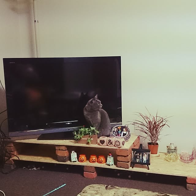 metaroさんの実例写真