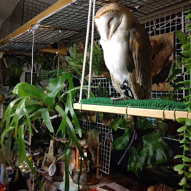 mikiさんの実例写真