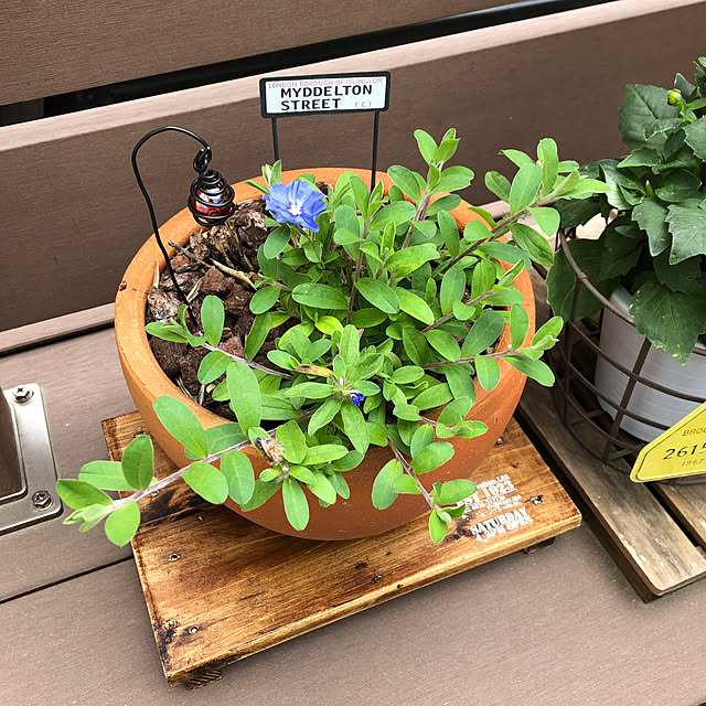 yukkoさんの部屋
