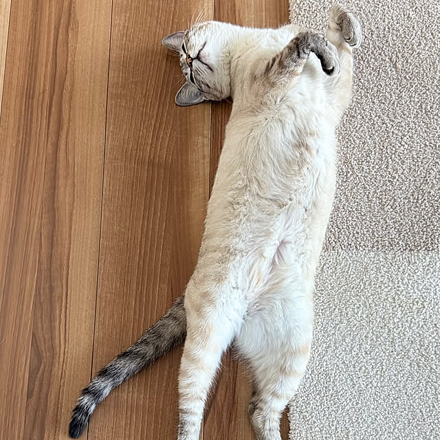 amさんの部屋