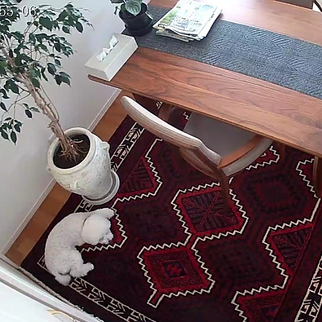 matthewさんの実例写真