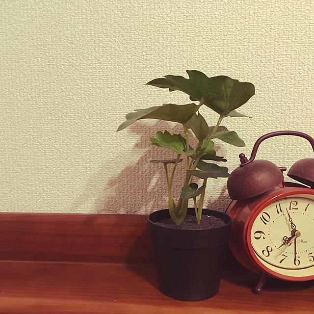 KIRINさんの実例写真