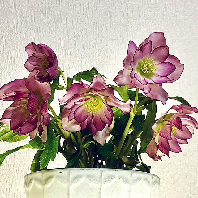 2.11maririnさんの部屋
