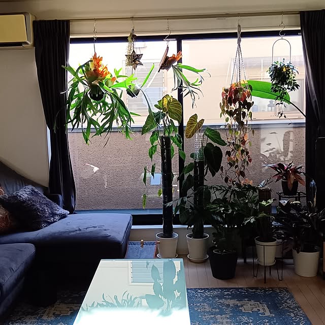 saeさんの実例写真