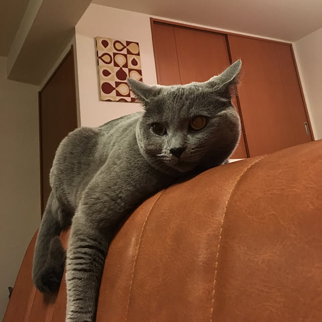 ikettenさんの実例写真