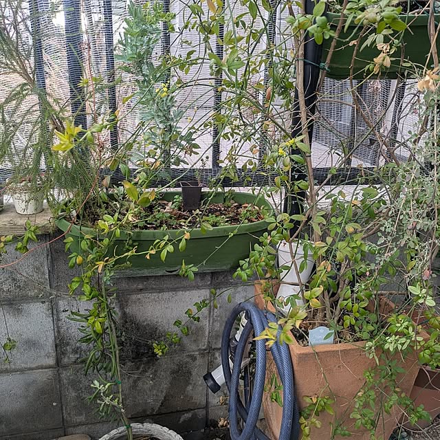 mori_6_12さんの部屋