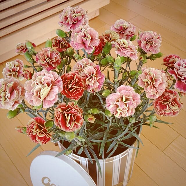 0404soraさんの実例写真