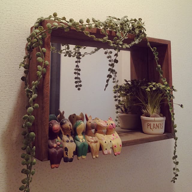 pikaneeさんの実例写真