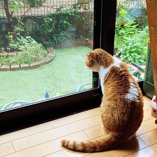 0617さんの実例写真