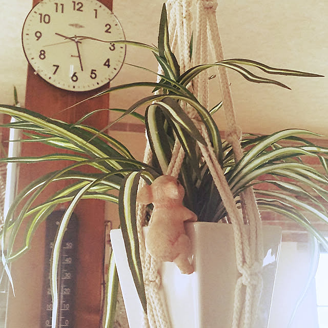 maronbibiriさんの実例写真