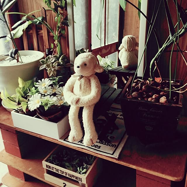 玄関/入り口/レンガ/古民家暮らし/DIY/観葉植物...などのインテリア実例 - 2017-02-25 19:57:06