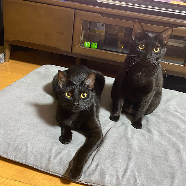 uni.comuさんの実例写真