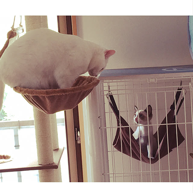 Non.Maru.Meiさんの実例写真