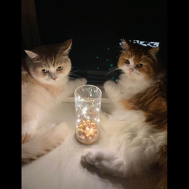 H.Tさんの実例写真