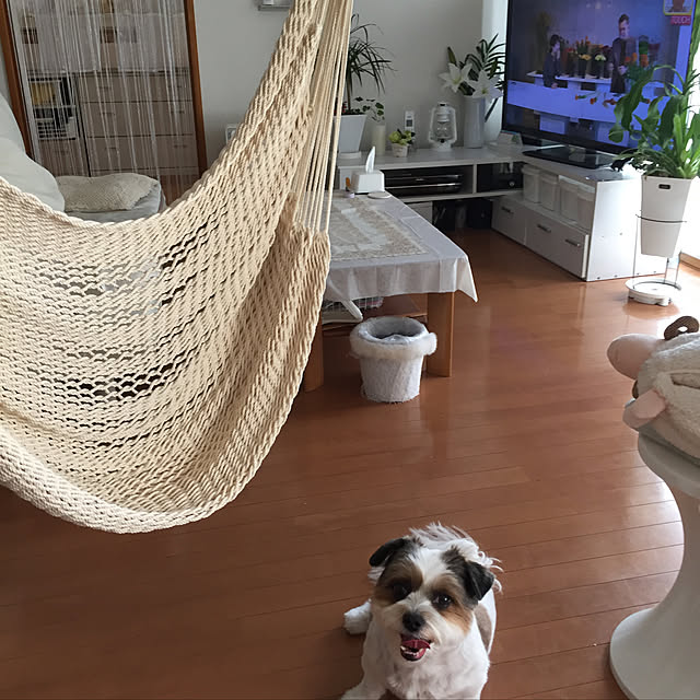 obiraさんの部屋